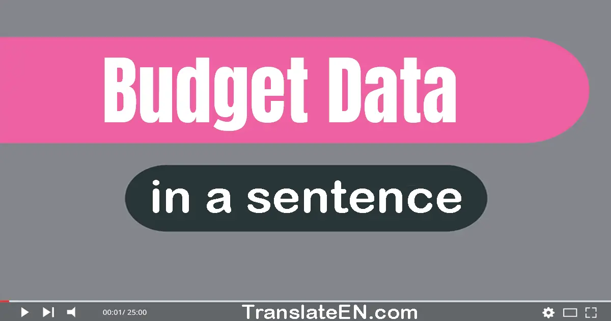 Budget Data in a sentence