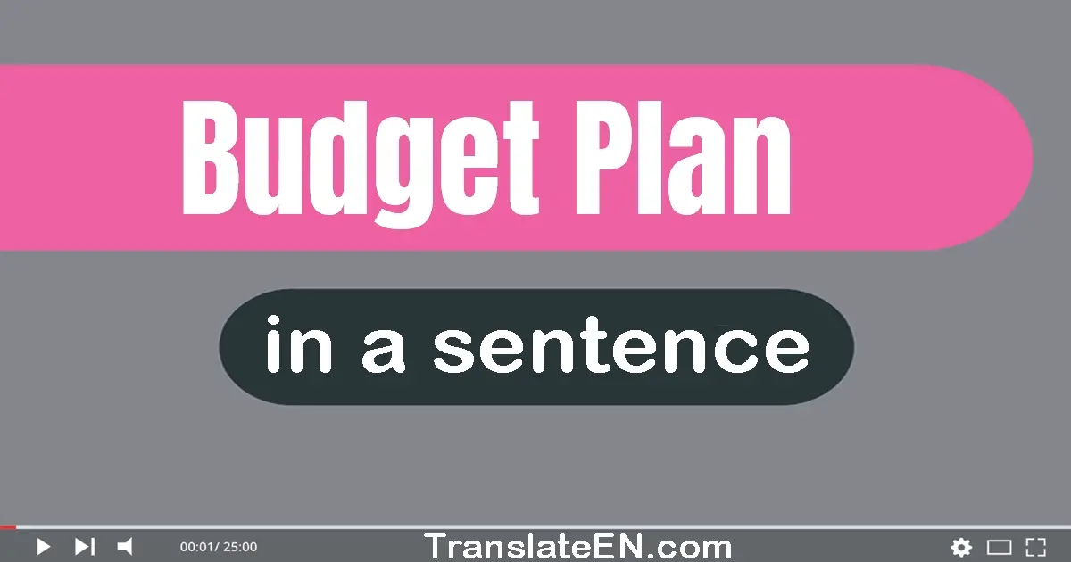 Budget Plan in a sentence