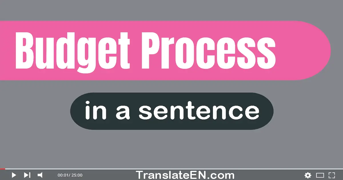 Budget Process in a sentence