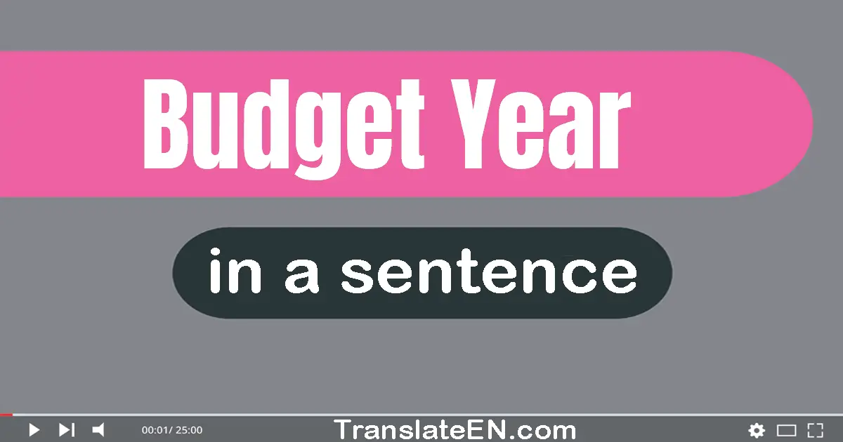 Budget Year in a sentence