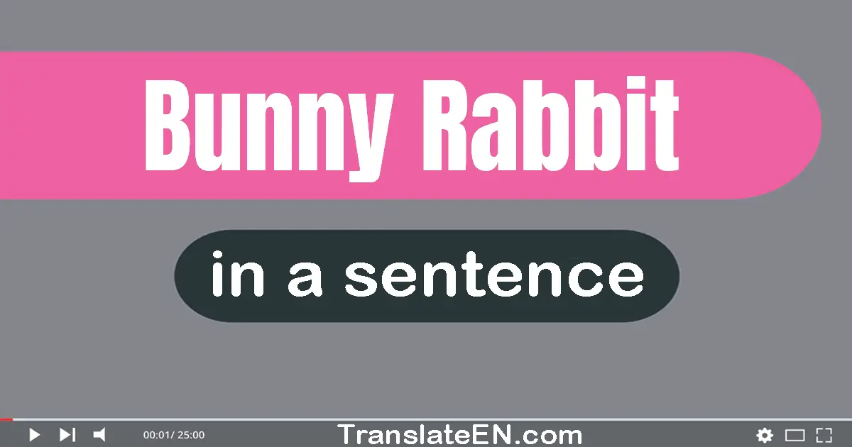 Bunny Rabbit in a sentence