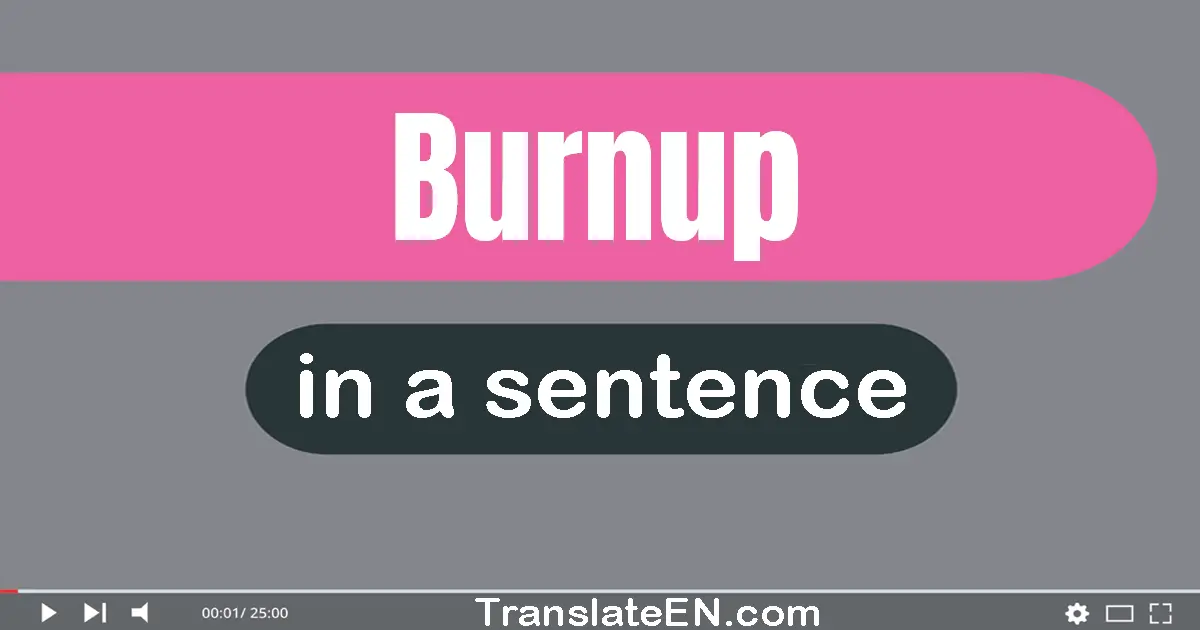 Burnup in a sentence