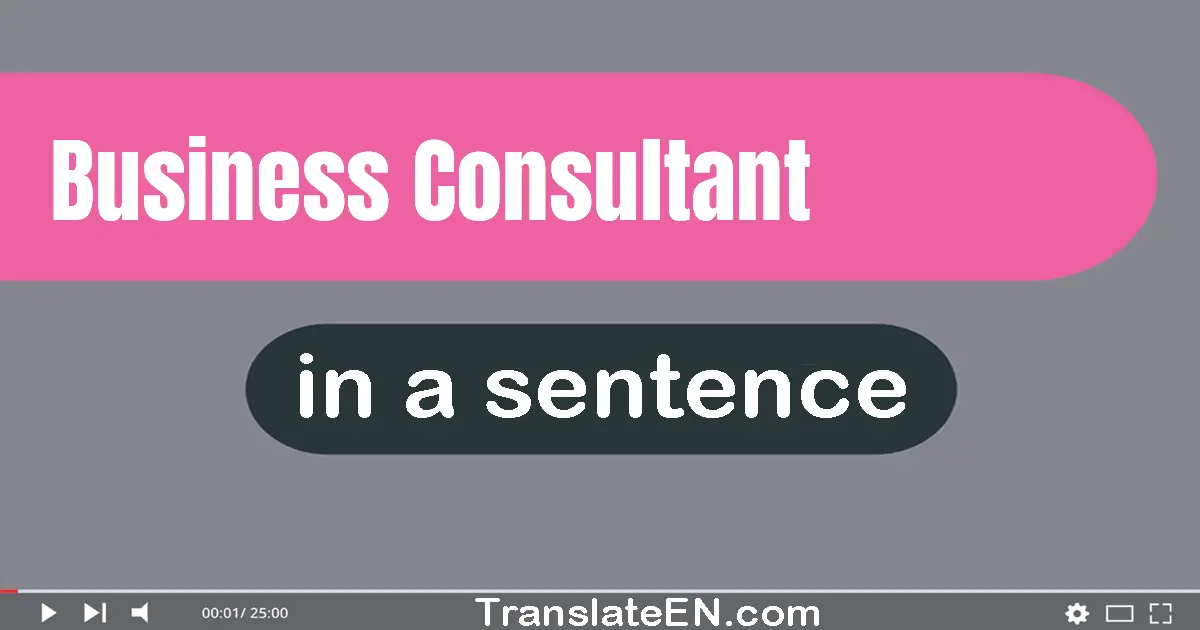 Business Consultant in a sentence