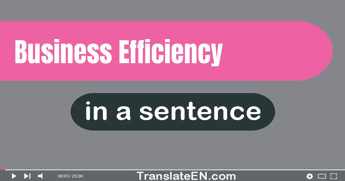 Business Efficiency in a sentence