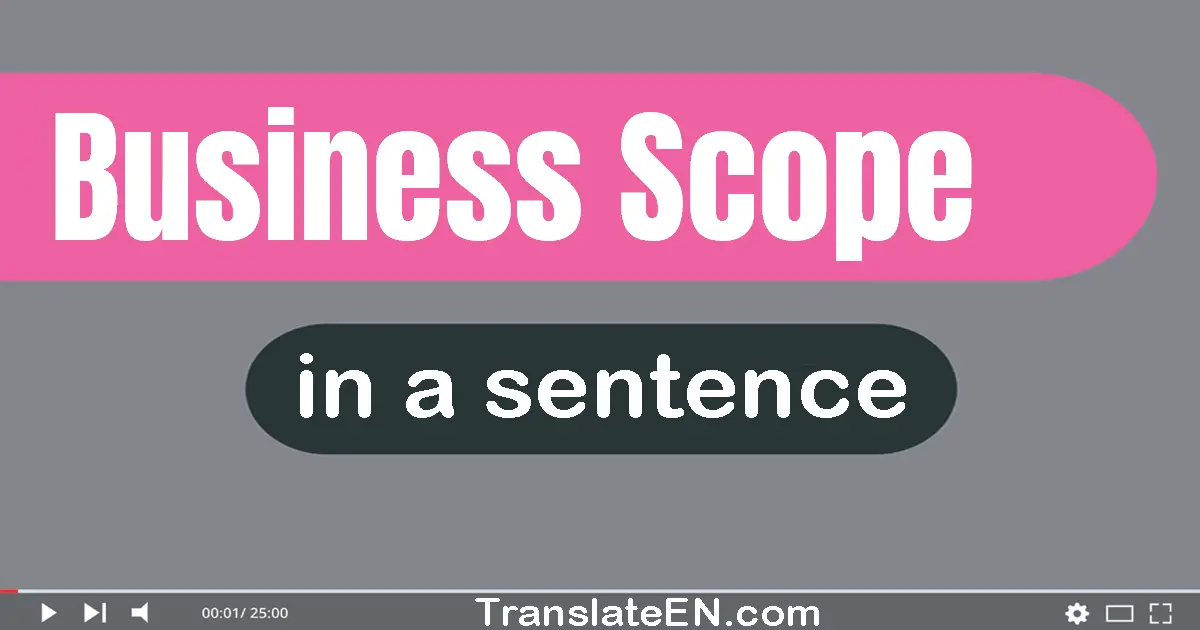 Business Scope in a sentence