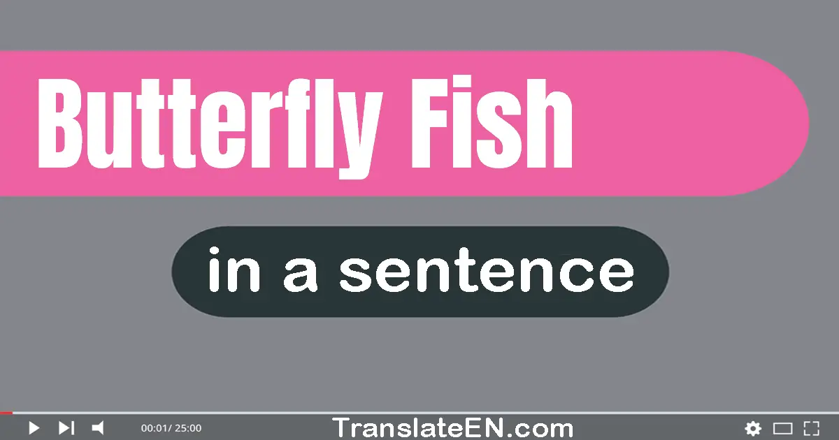 Butterfly Fish in a sentence