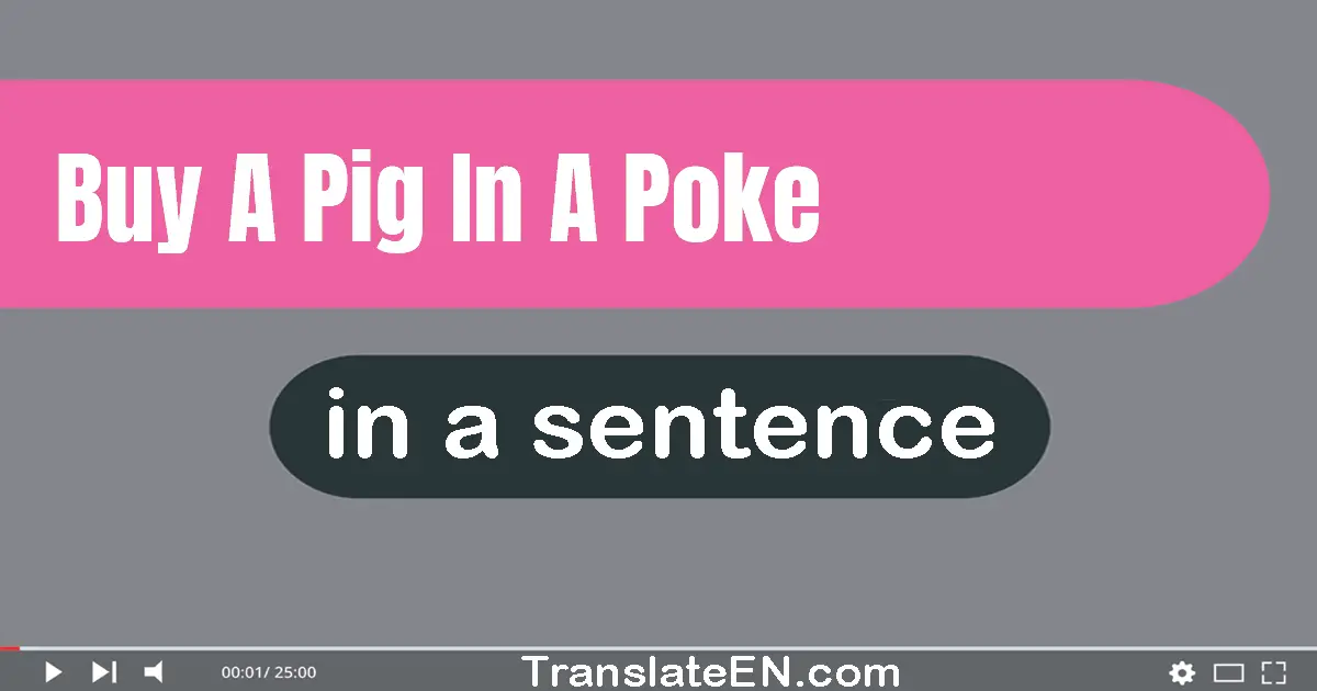 Buy A Pig In A Poke in a sentence