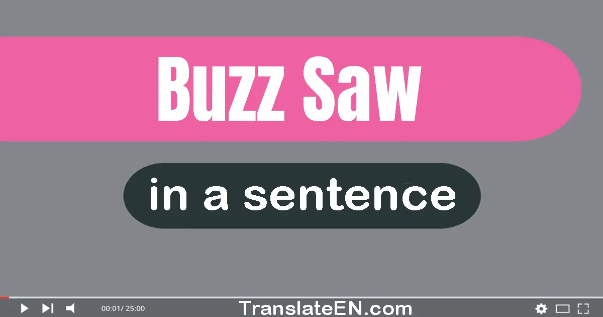 Use "buzz saw" in a sentence | "buzz saw" sentence examples