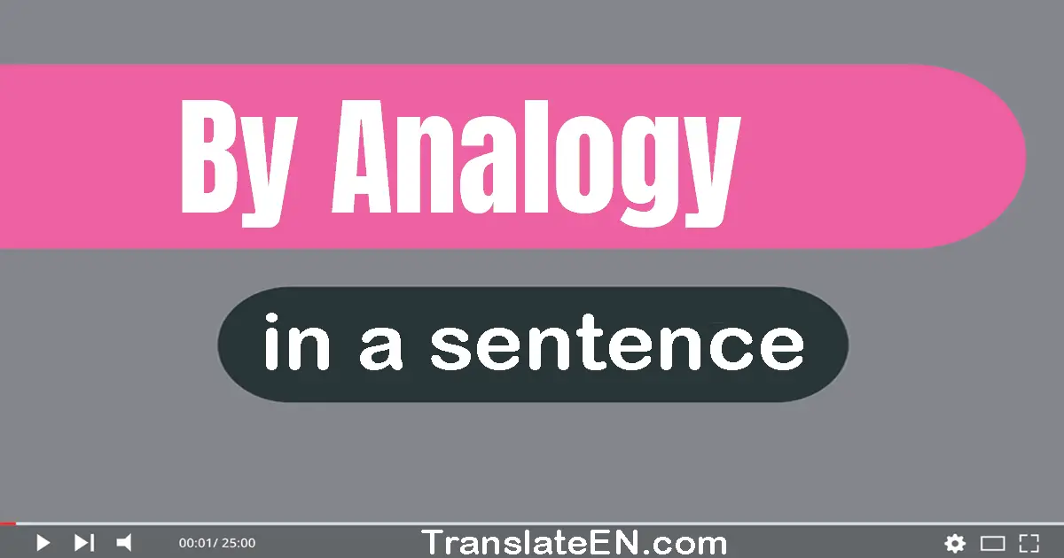 By Analogy in a sentence