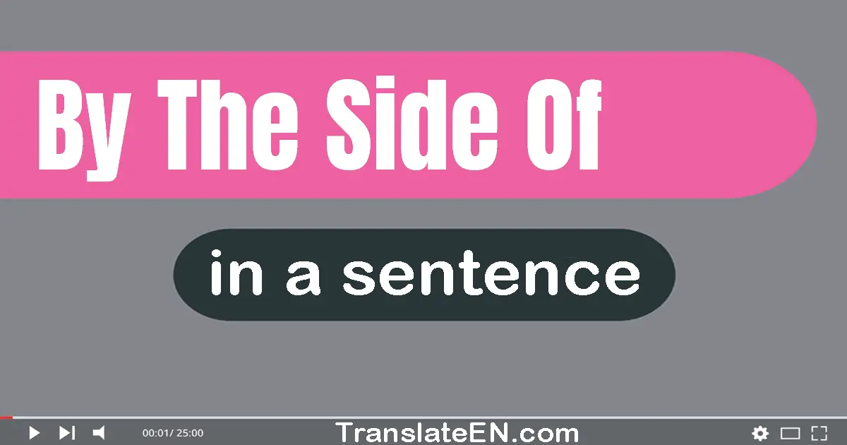 By The Side Of in a sentence