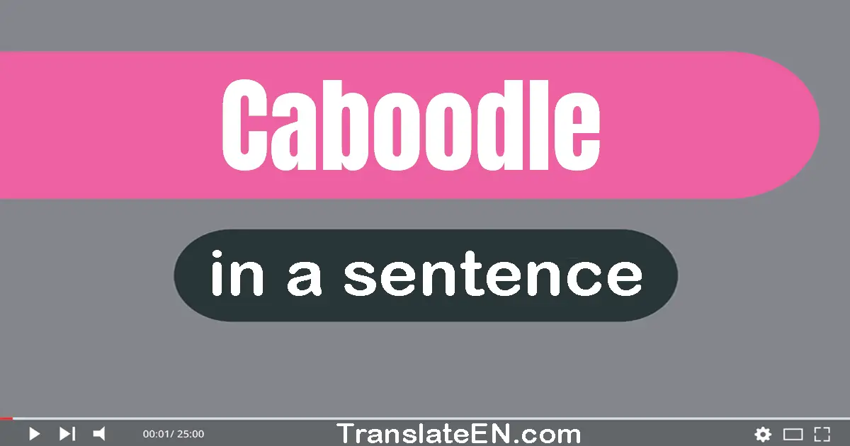 Caboodle in a sentence