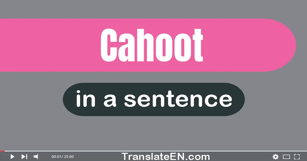 Use "cahoot" in a sentence | "cahoot" sentence examples