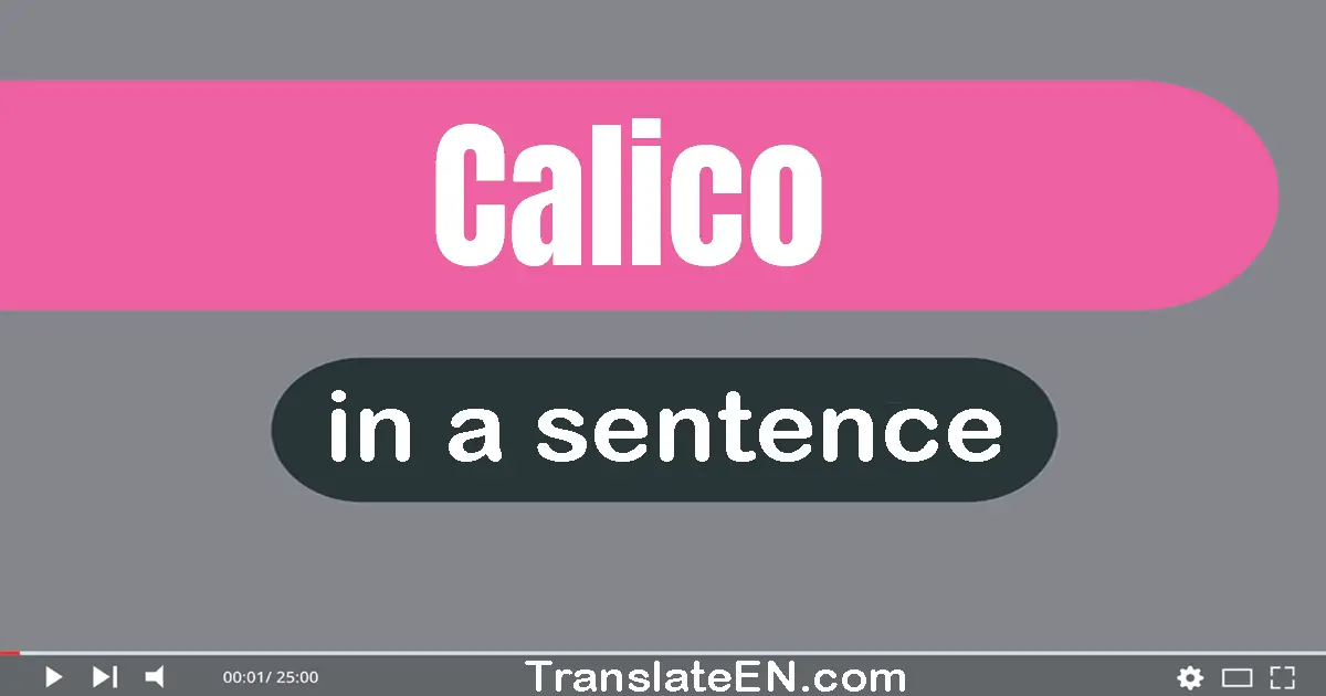 Calico in a sentence