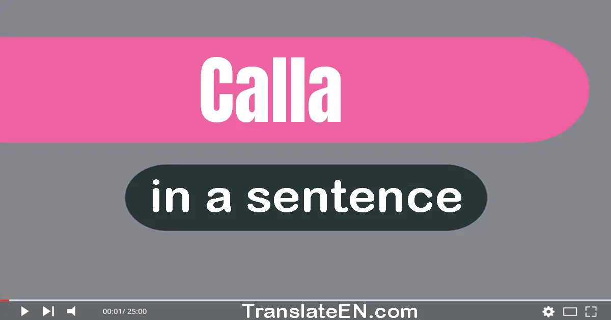 Use "calla" in a sentence | "calla" sentence examples