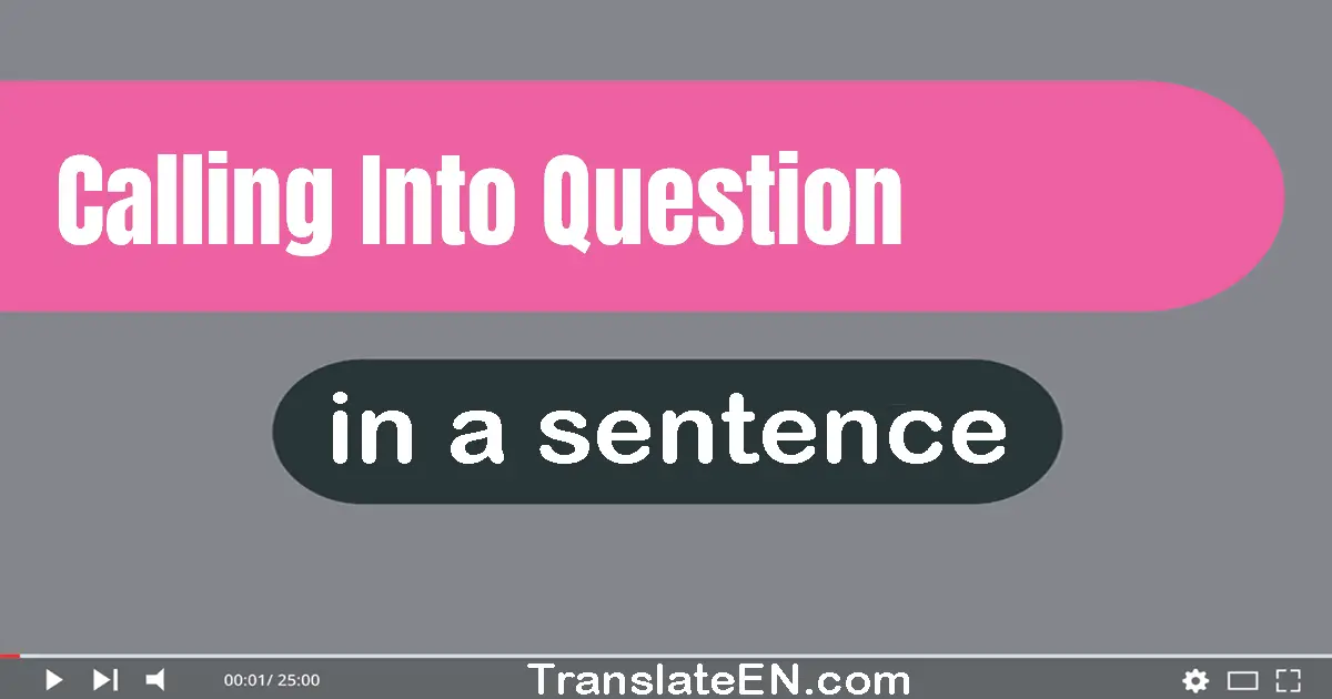 Use "calling into question" in a sentence | "calling into question" sentence examples