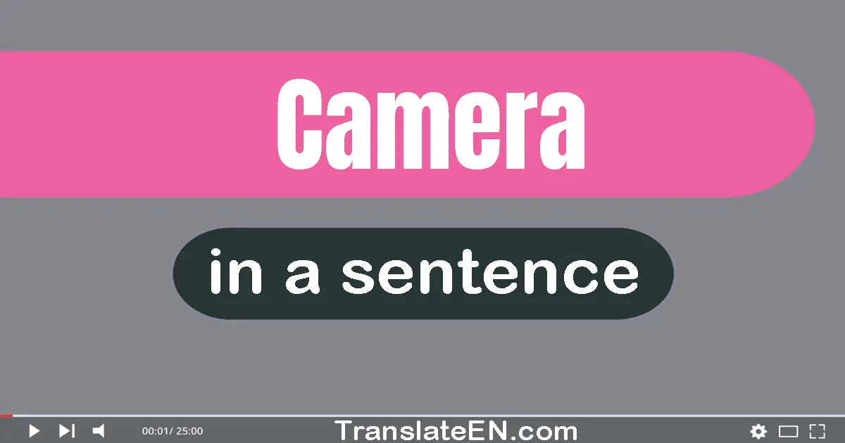 Camera in a sentence