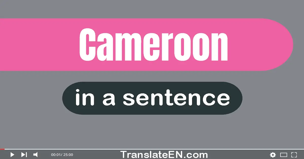 Cameroon in a sentence