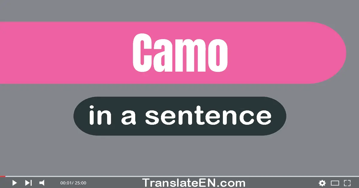 Camo in a sentence