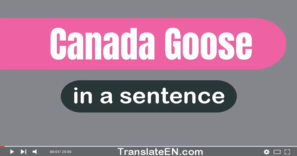 Canada Goose in a sentence