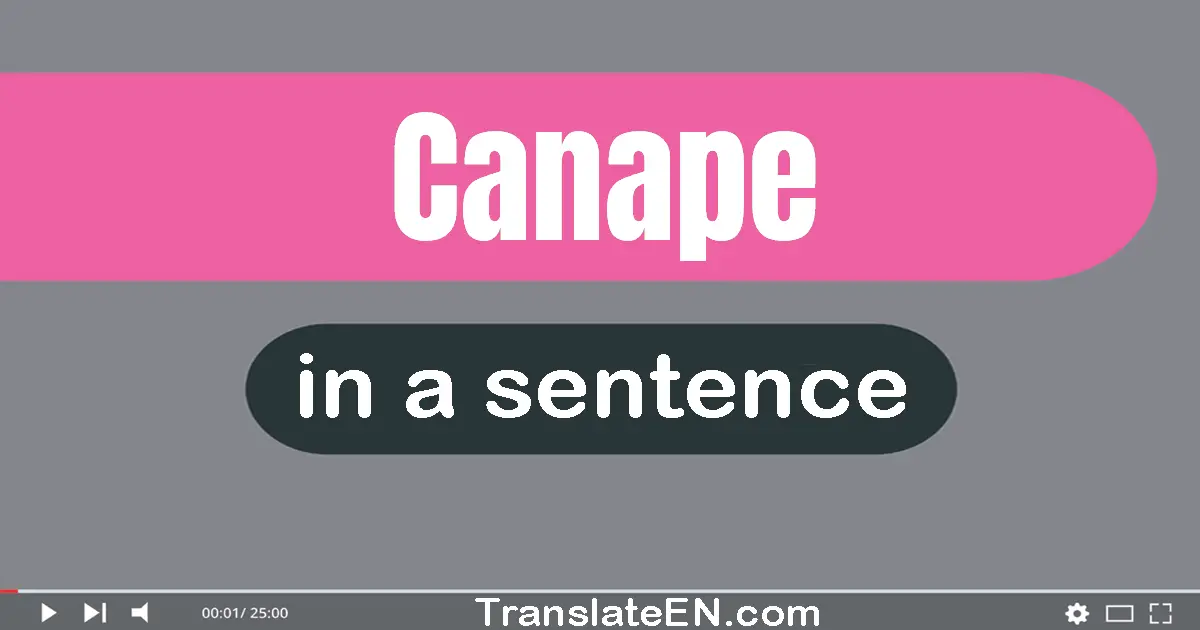 Use "canape" in a sentence | "canape" sentence examples