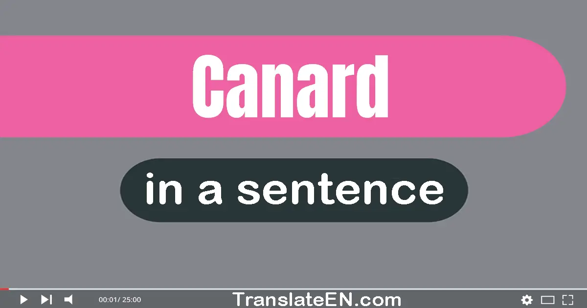 Use "canard" in a sentence | "canard" sentence examples