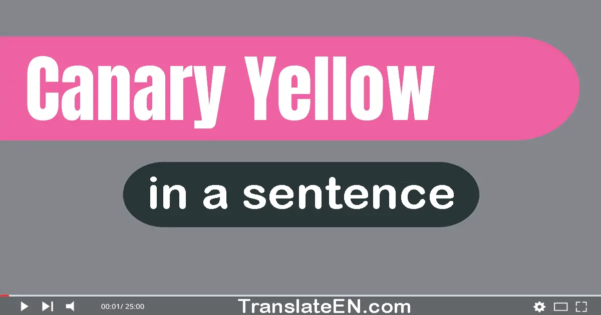 Use "canary yellow" in a sentence | "canary yellow" sentence examples