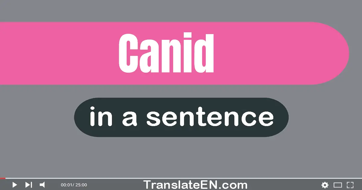 Canid in a sentence