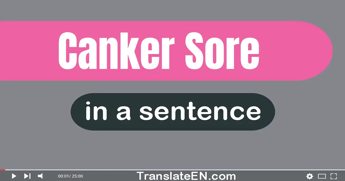 Canker Sore in a sentence