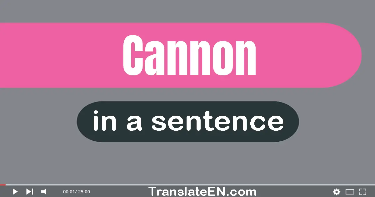 Use "cannon" in a sentence | "cannon" sentence examples