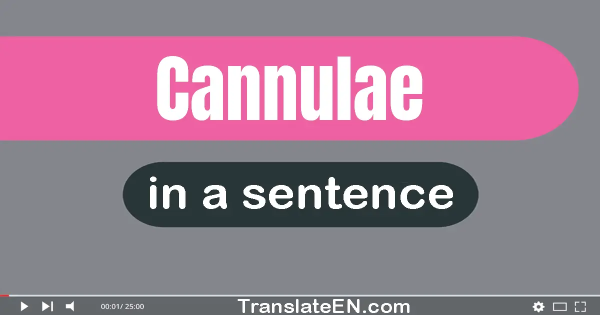 Use "cannulae" in a sentence | "cannulae" sentence examples