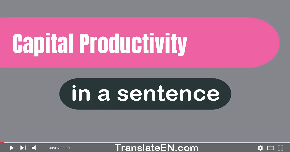 Capital Productivity in a sentence