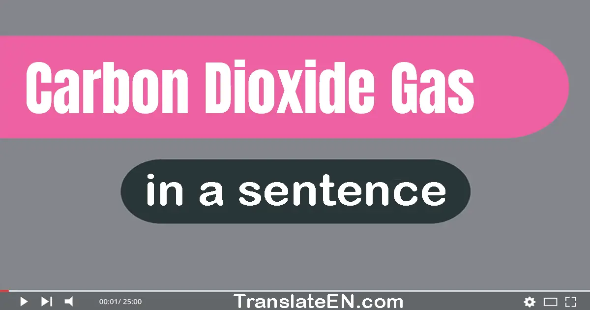 Carbon Dioxide Gas in a sentence