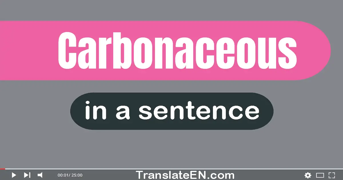 Carbonaceous in a sentence