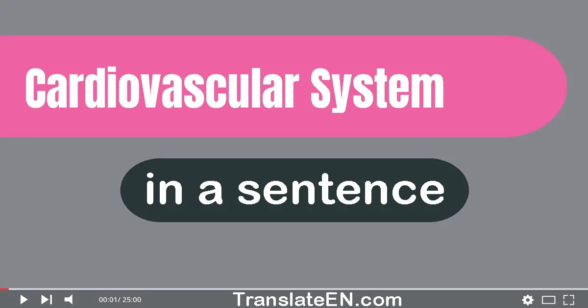 Cardiovascular System in a sentence