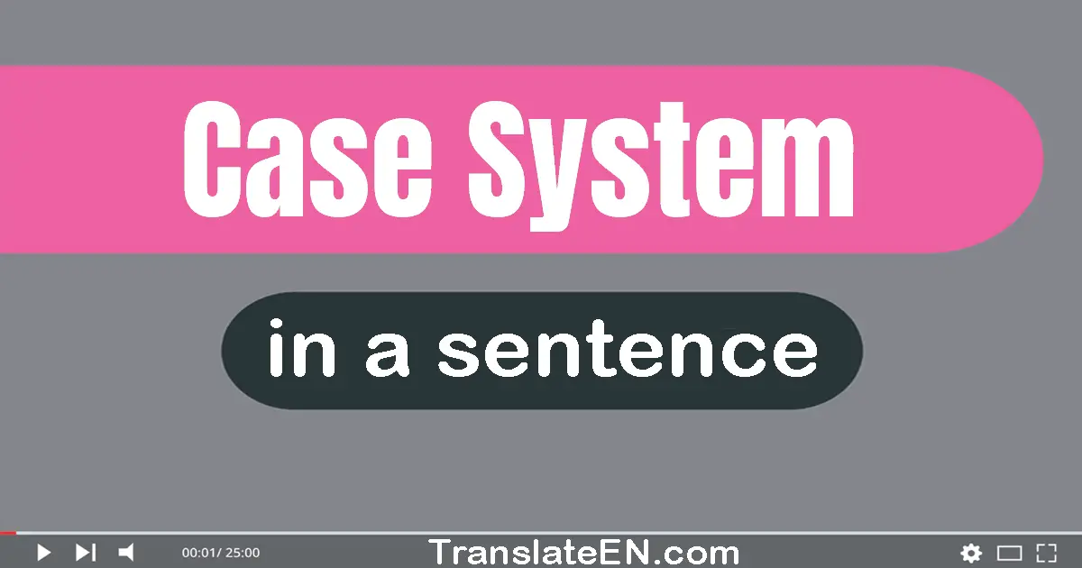 Case System in a sentence