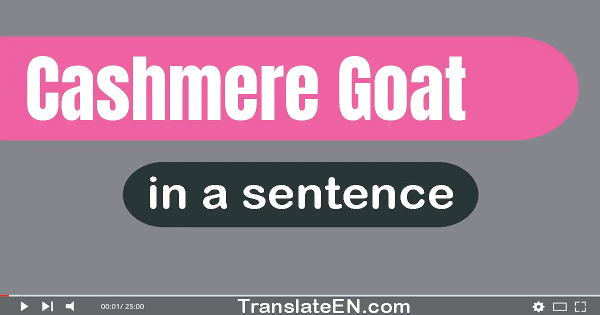 Cashmere Goat in a sentence