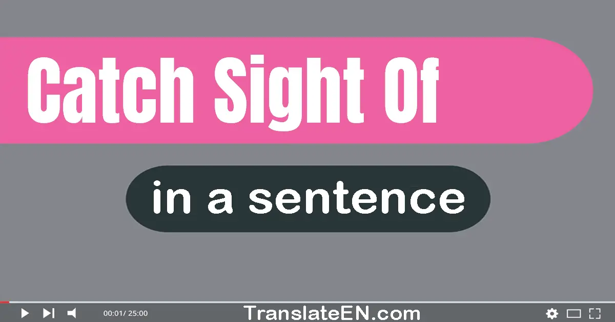 Catch Sight Of in a sentence