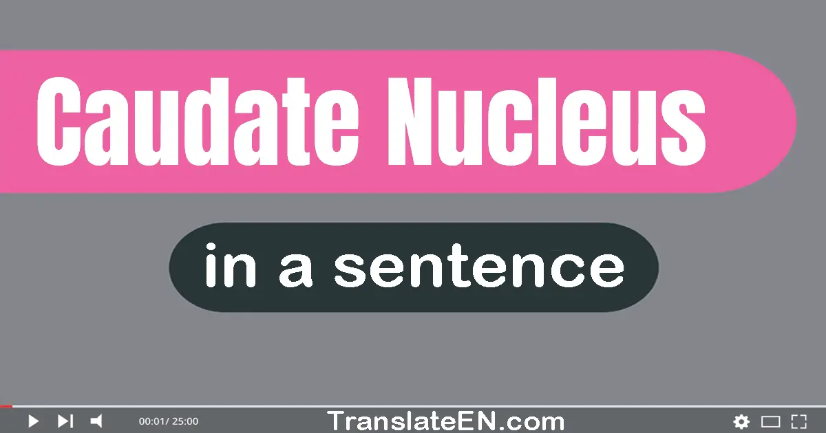 Caudate Nucleus in a sentence