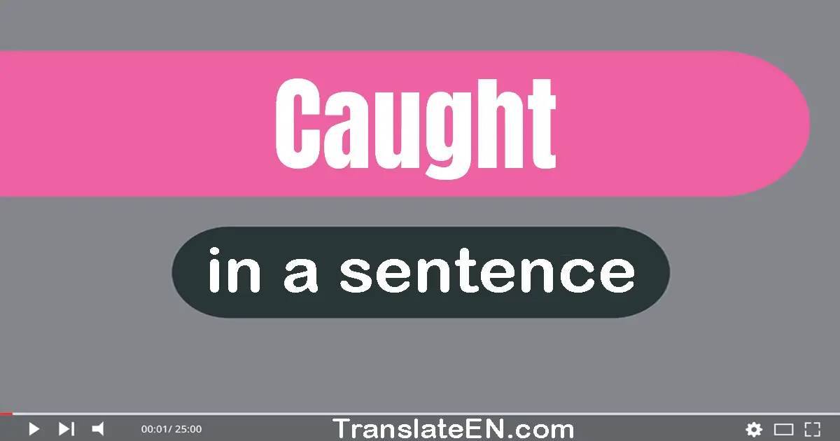 Caught in a sentence