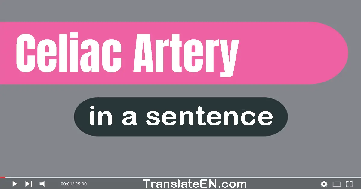 Celiac Artery in a sentence