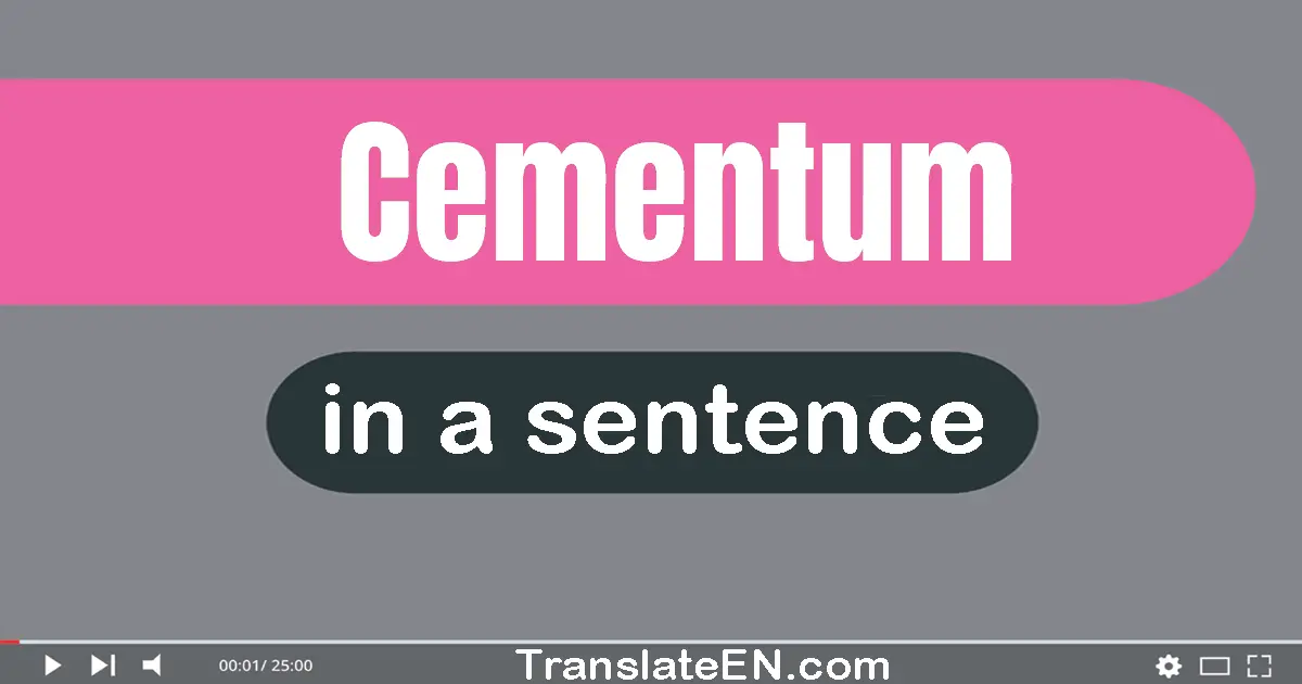 Cementum in a sentence