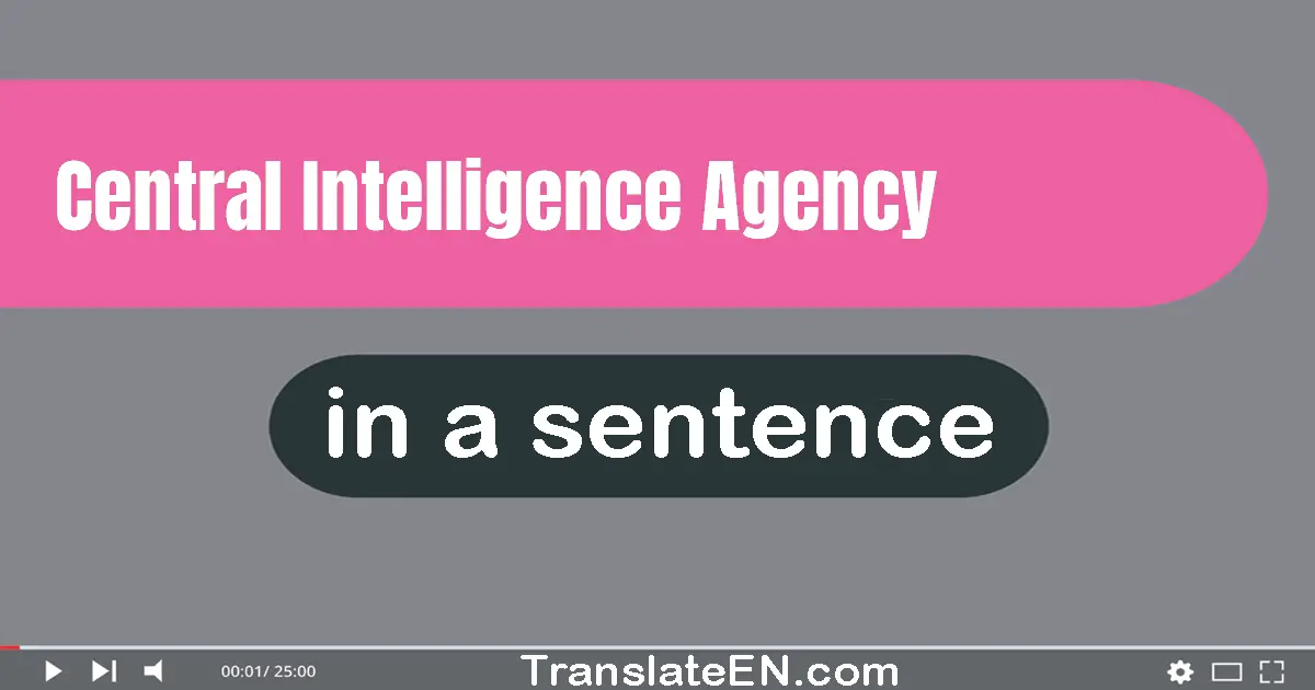 Central Intelligence Agency in a sentence