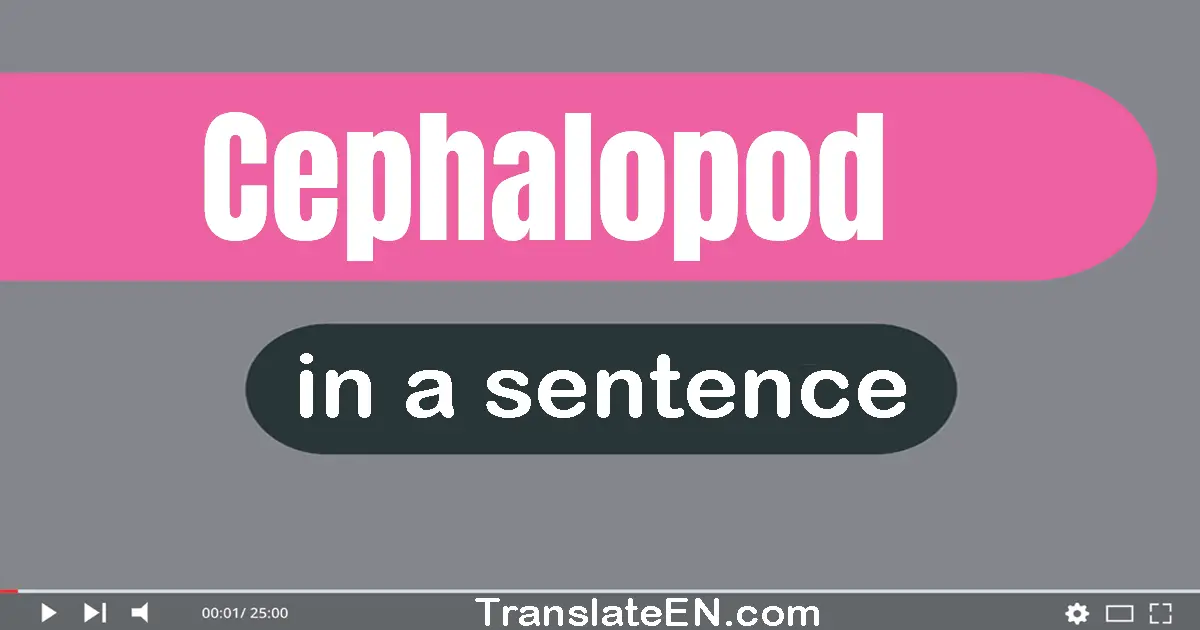 Cephalopod in a sentence