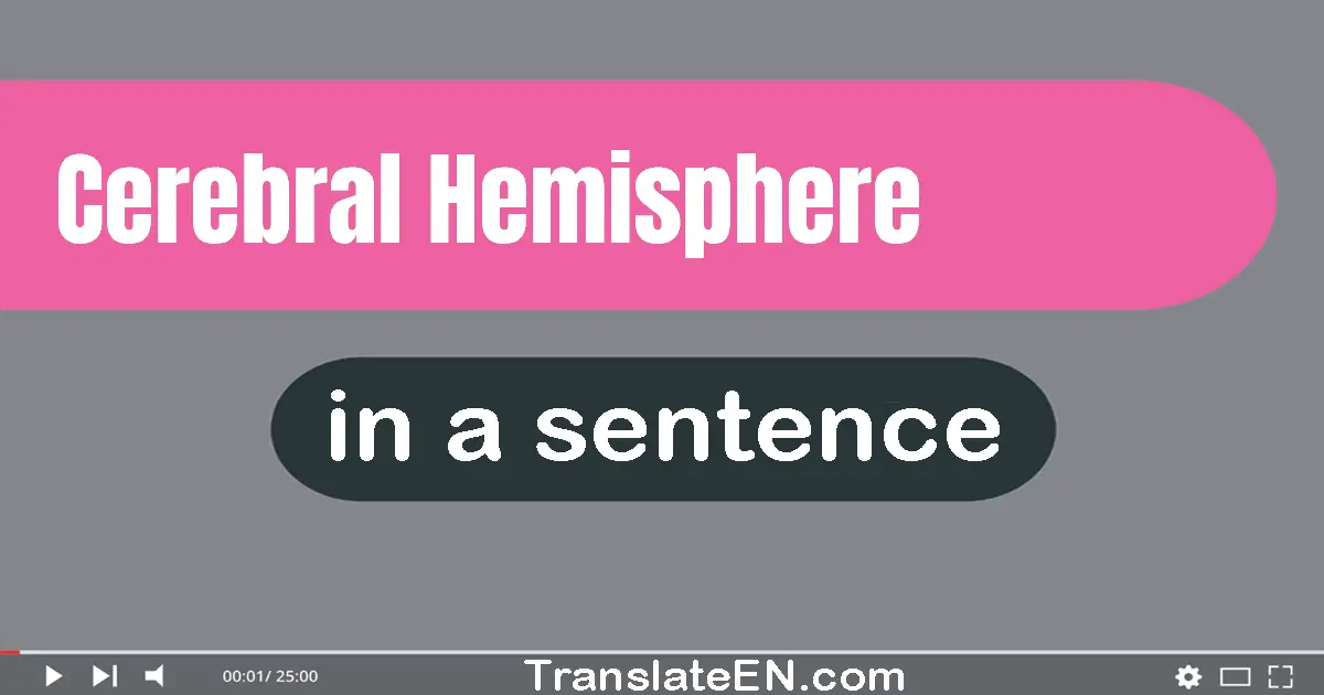 Cerebral Hemisphere in a sentence