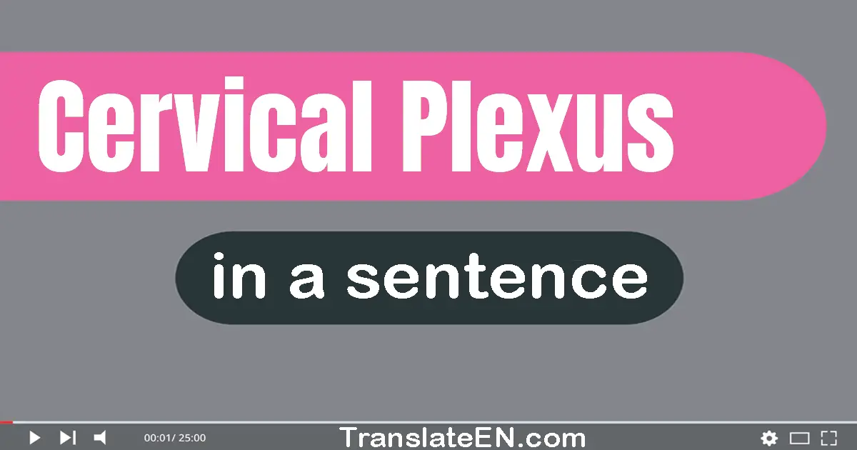 Cervical Plexus in a sentence