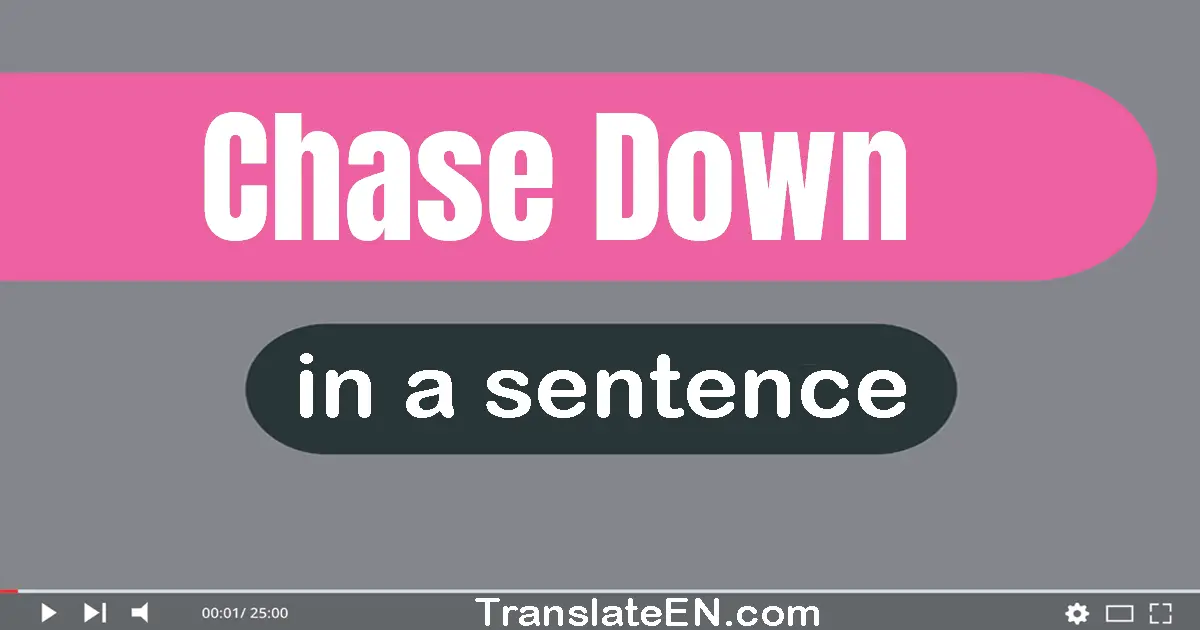 Chase Down in a sentence