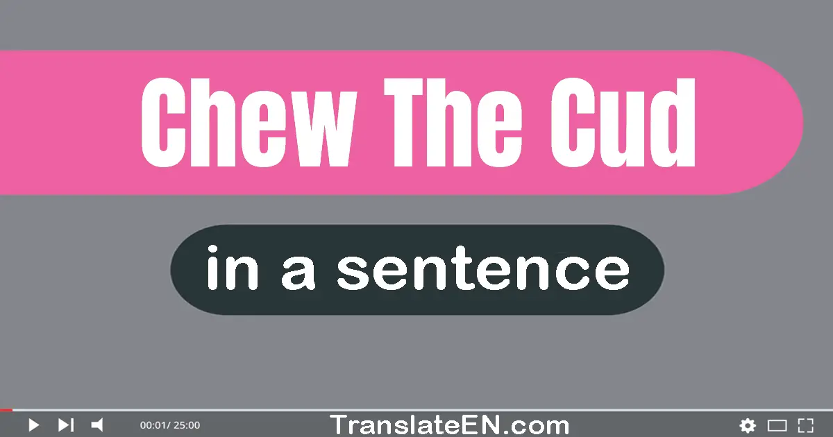 Chew The Cud in a sentence