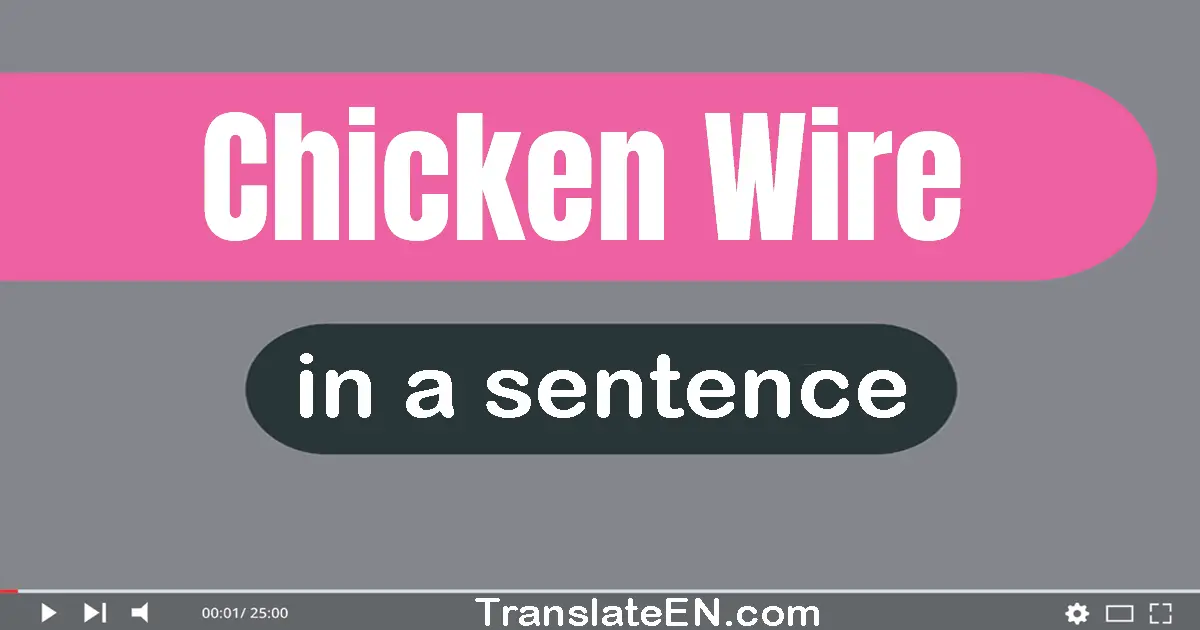 Use "chicken wire" in a sentence | "chicken wire" sentence examples