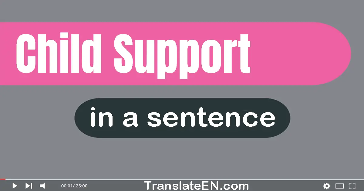 Child Support in a sentence