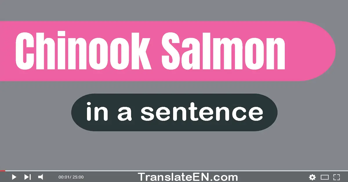 Chinook Salmon in a sentence